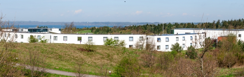Den Europæiske Filmøjskole