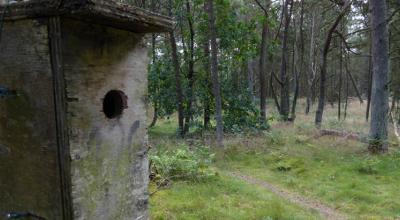 Naturreservat Stubbe Sø