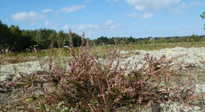 Øer stien