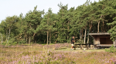 Skov og natur